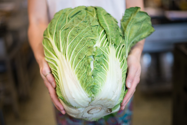 a woman holding a large chinese cabbage